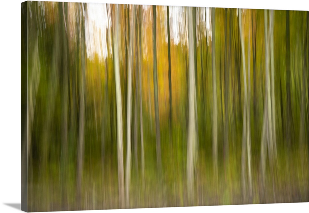 motion blur with Fall color in trees in Acadia National Park