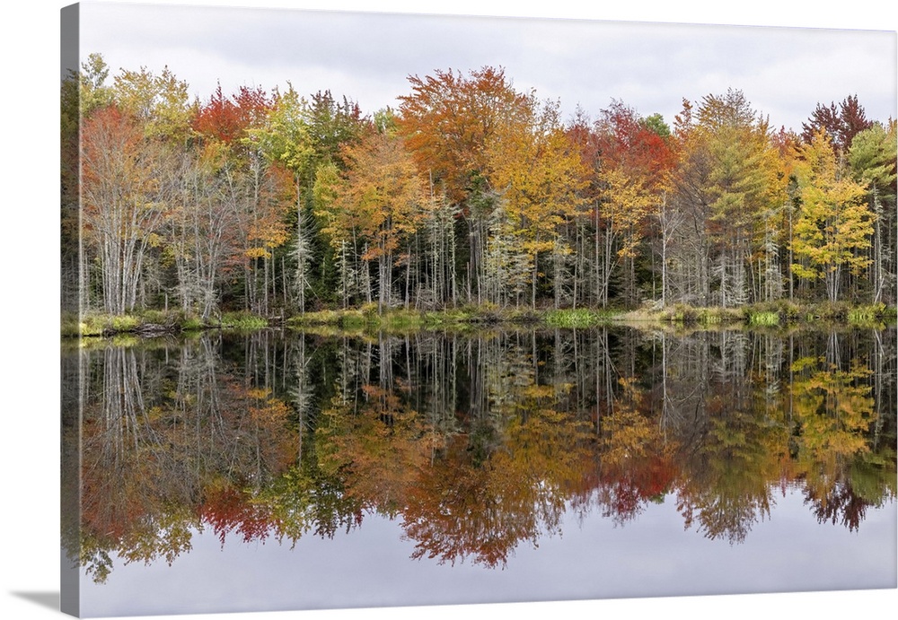 Fall color with reflections in Maine