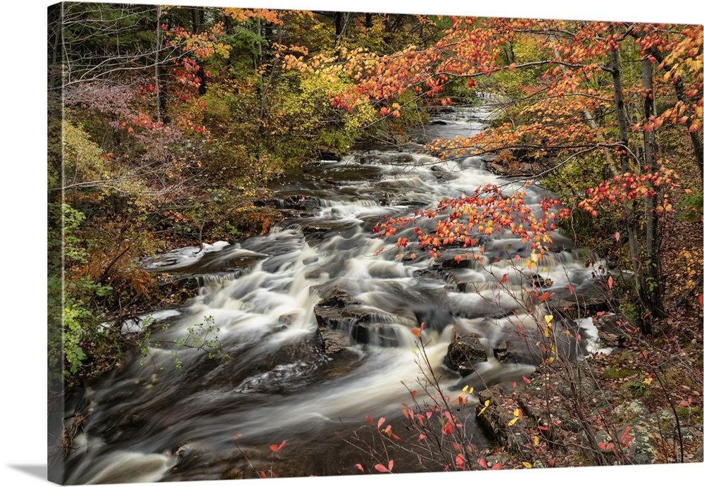 Flowing river and fall color in Acadia National Park.