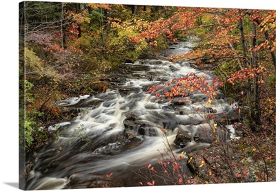 Flowing River And Fall Color In Acadia National Park