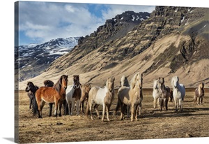 Iceland image thumbnail