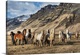 image thumbnail of Icelandic horses in the countryside of Iceland.
