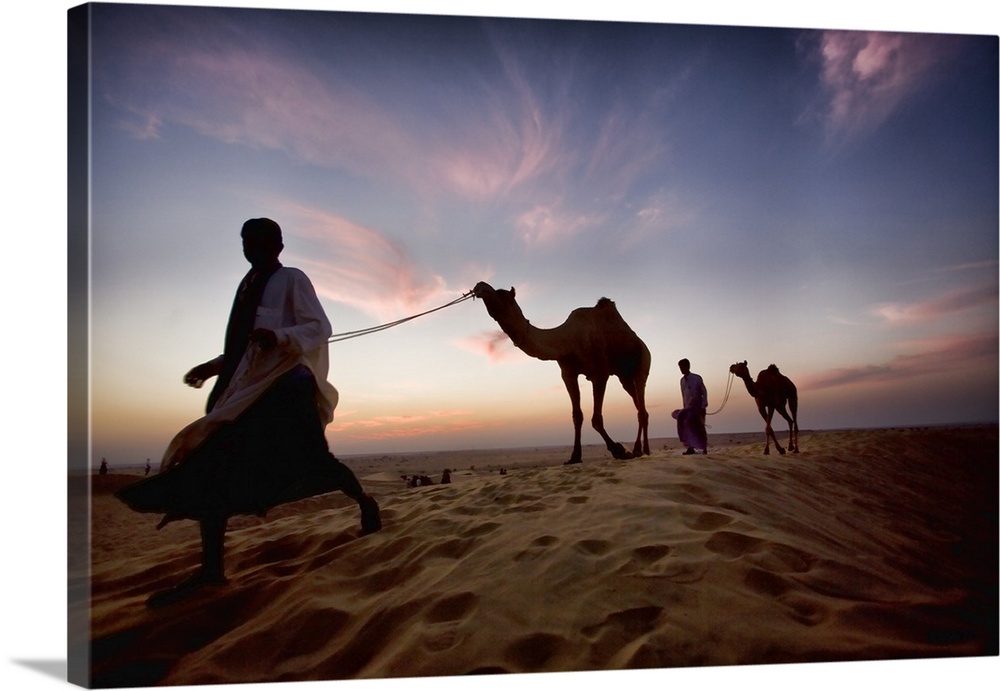 India Camels and their owners at sunset, Rajistan, India