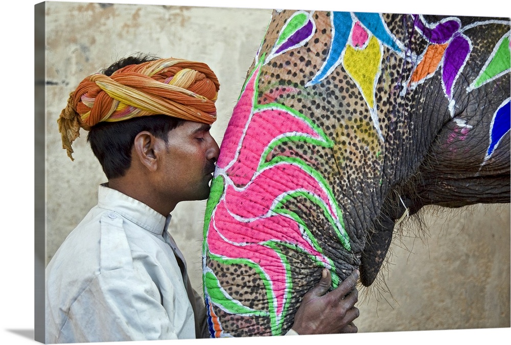 Indian Elephant with trainer, Jaipur, India