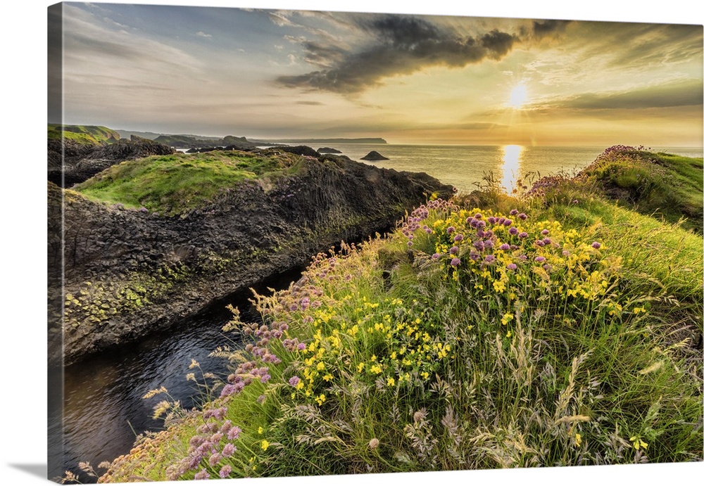 Sunset and flowers on the coast of Ireland.