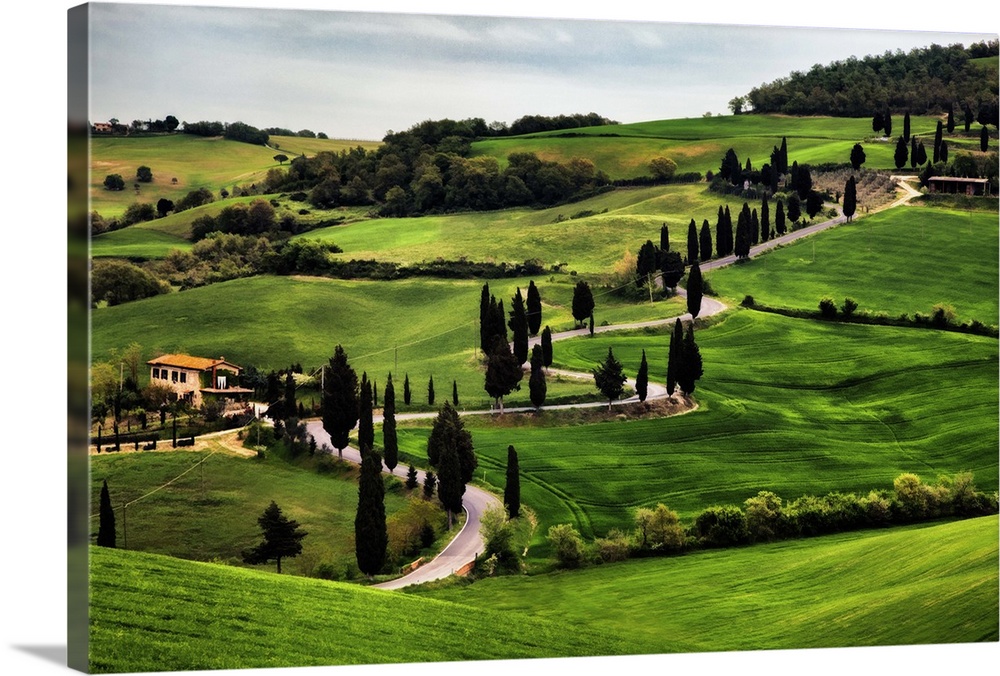 Big canvas print of a countryside with a winding road running through it.