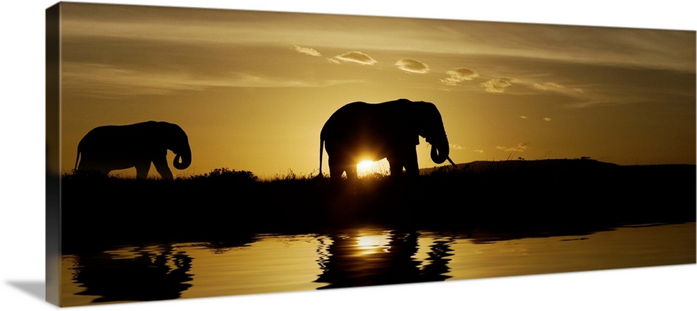 Mother and baby elephant walking by a lake at sunrise in Kenya