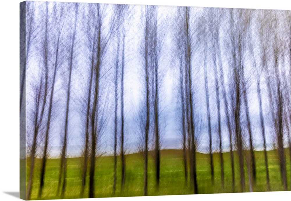 Motion blur of trees in the Palouse