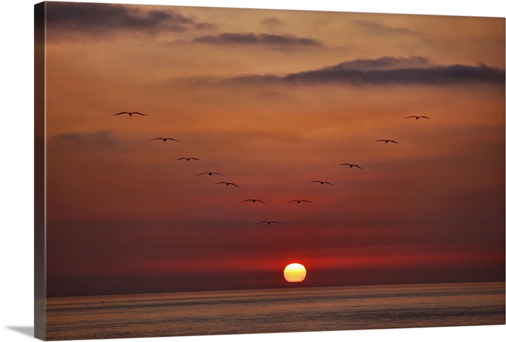 Big landscape photograph of birds flying in a vibrant, cloudy sky, over the ocean in a v shape, pointed toward the setting...