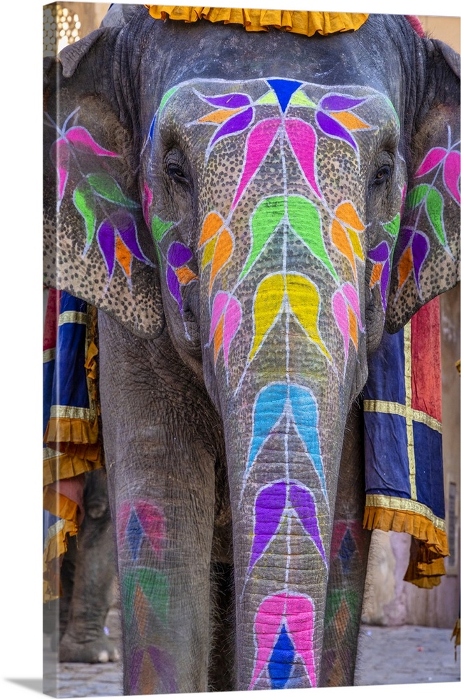 Painted elephant in Jaipur, rajasthan, India