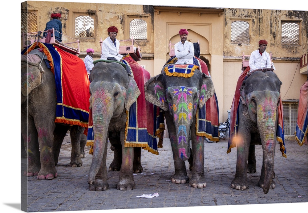 Painted elephants and trainers in Jaipur, rajasthan, India