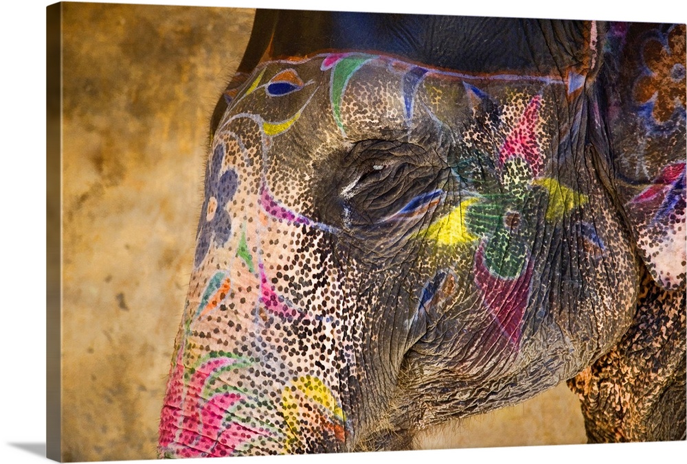 This photograph of an elephant in India is painted beautifully with vibrant colors and flowers.