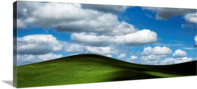 Powerful clouds and green wheat fields in the Palouse