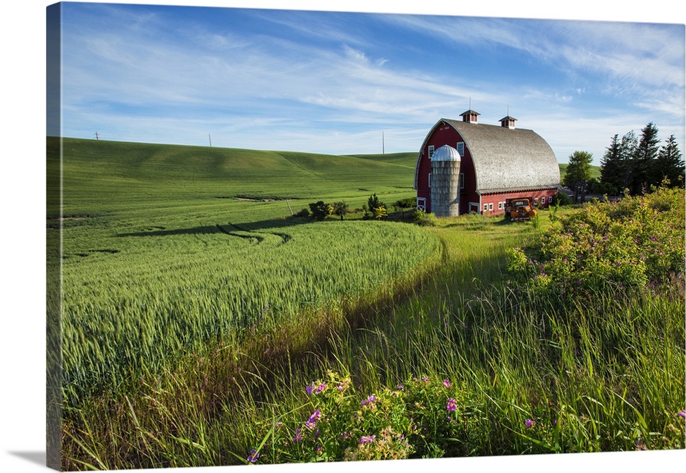 Red barn and green wheat fields in the Palouse, Washington