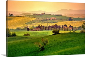 Rolling fields, Tuscany, Italy image thumbnail
