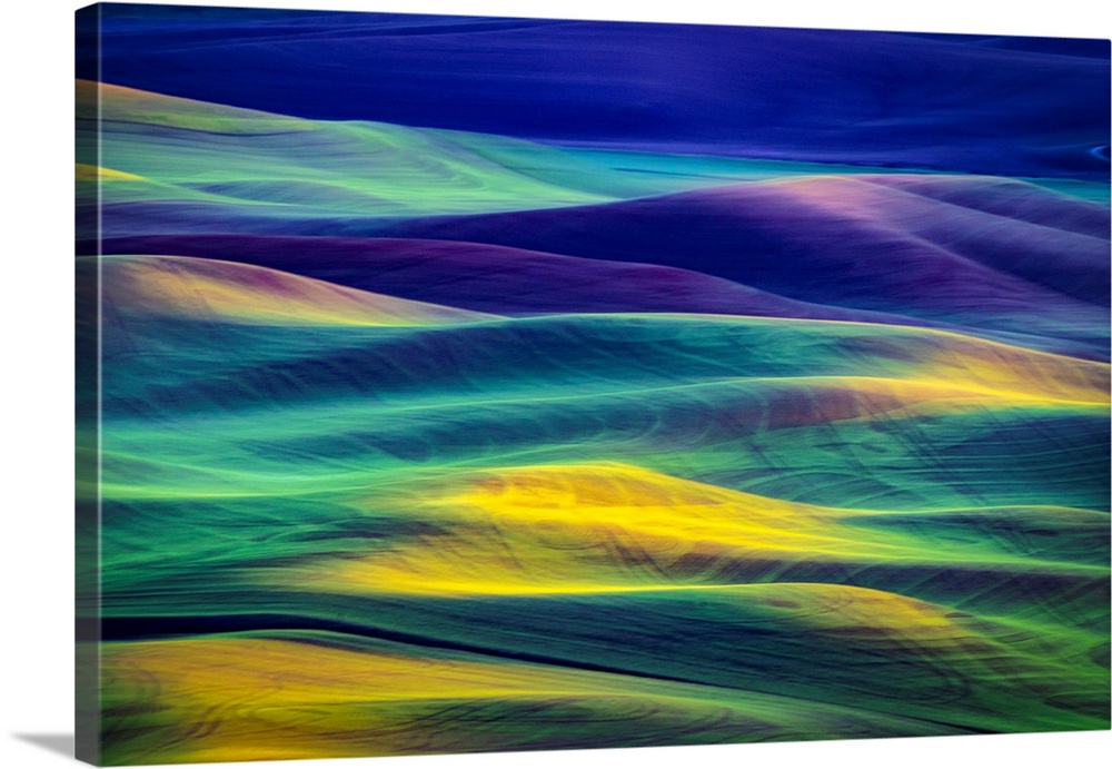 rolling wheatfields of the Palouse, Washington