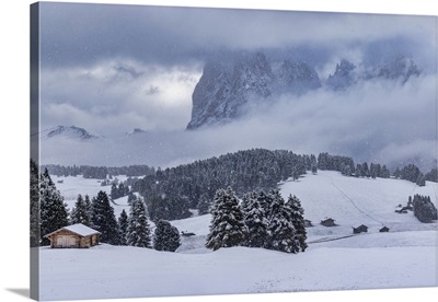 Seiser Alm In Snow In The Dolomites, Italy