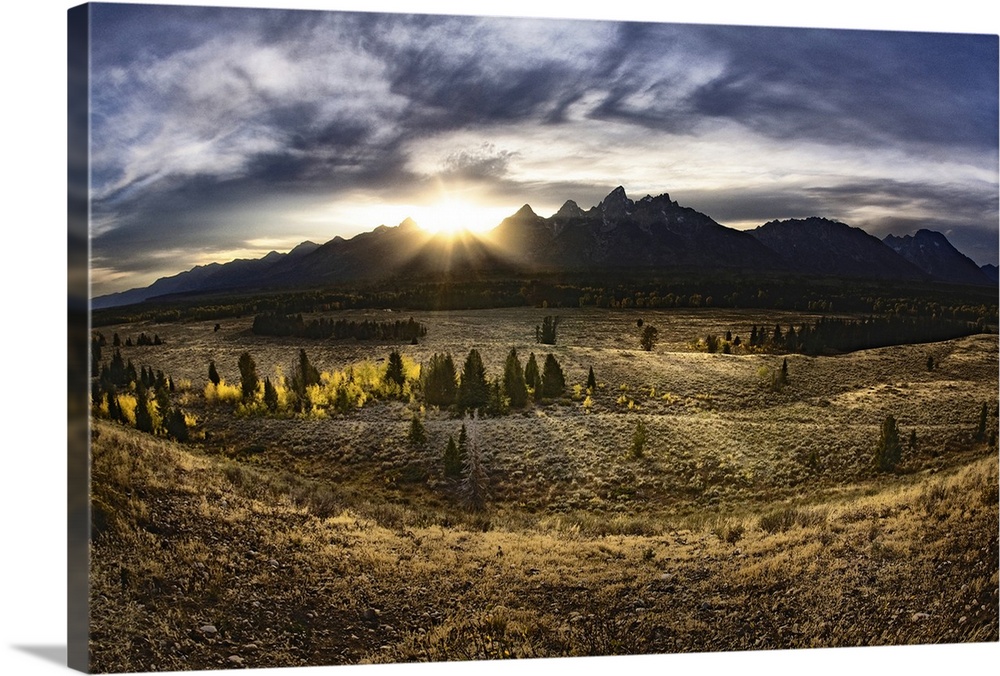 Giant, landscape photograph of a vast field in Jackson Hole, Wyoming, the sun rising just above the Gran Tetons in the bac...