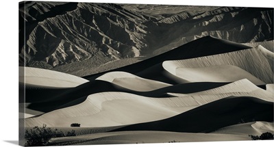 The amazing Mesquite Sand Dunes at Death Valley National Park