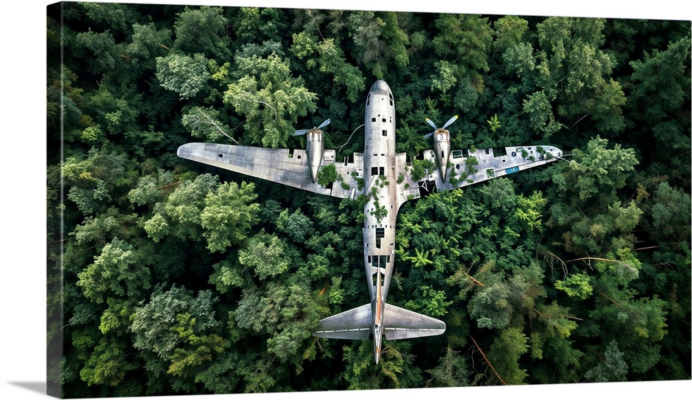 Plane crash in the amazon forest.