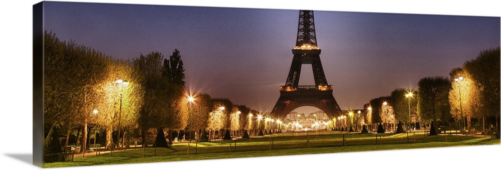 The Eiffel Tower in Paris at night Wall Art, Canvas Prints, Framed ...