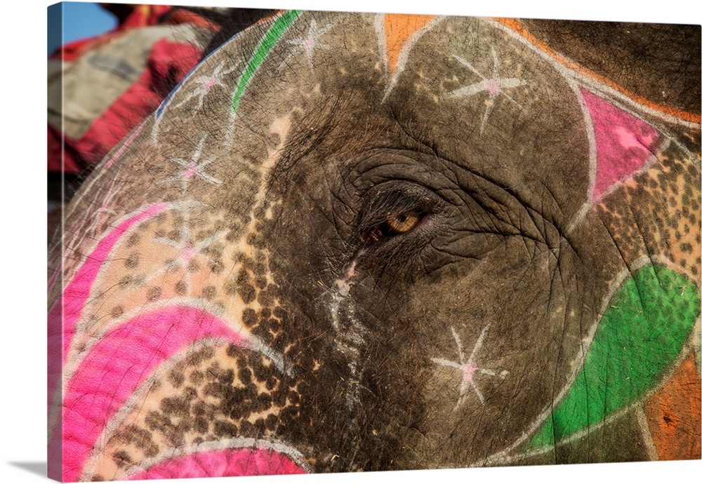 The eye of a painted elephant in Jaipur, India.