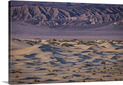 The Mesquite Sand Dunes In Death Valley