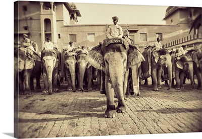 The painted elephants and their trainers in Jaipur, India