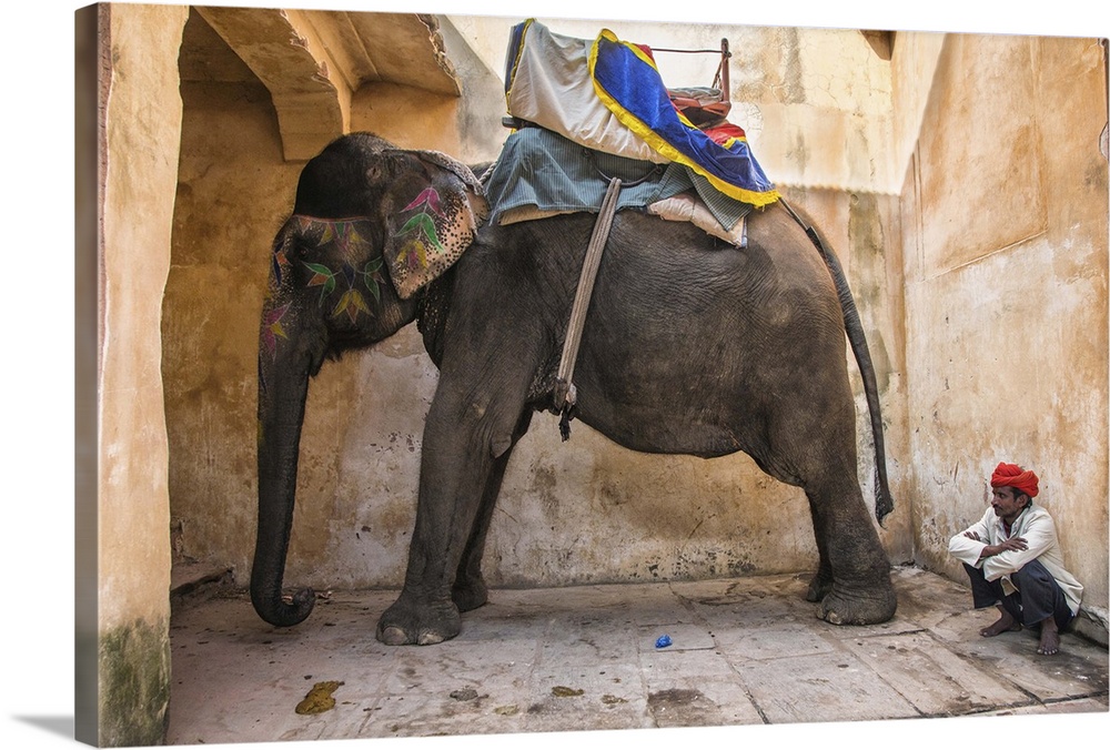 The painted elephants in Jaipur, India.