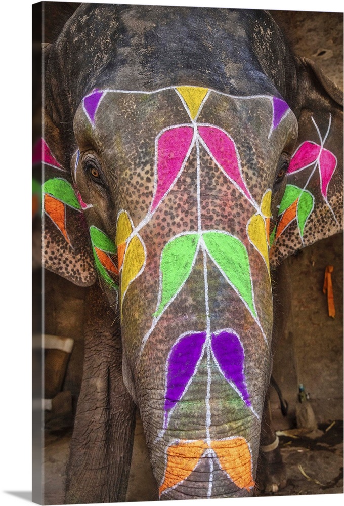 The painted elephants of Jaipur, India