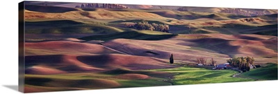 View from Steptoe Butte in the Palouse, Washington