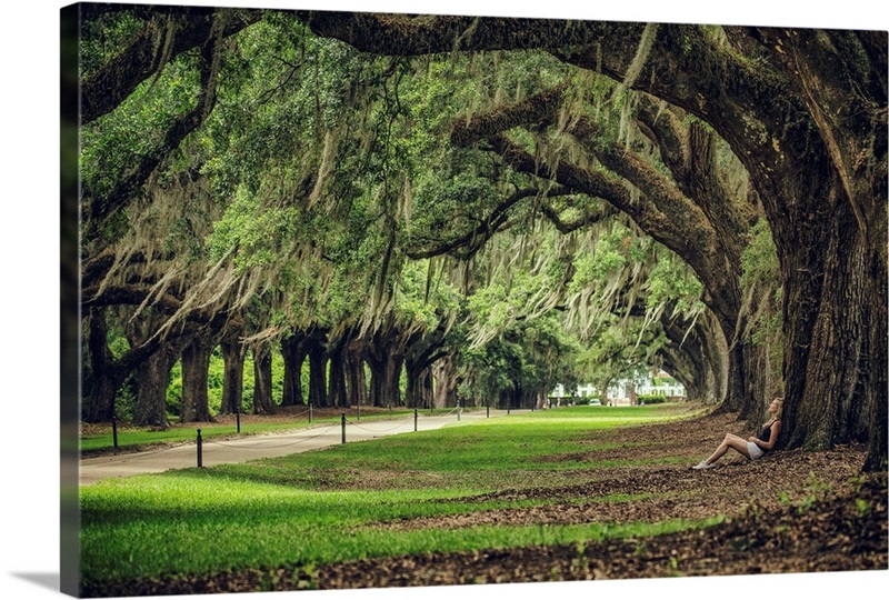 Woman leaning against a huge Oak tree at Boone Plantation | Great Big ...