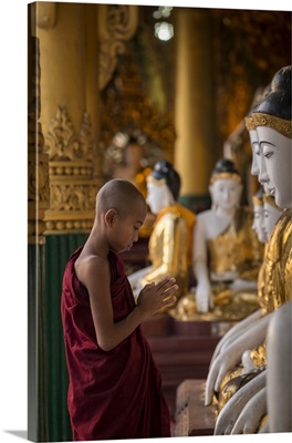 Young Burmese monk praying with buddhas in Shwedagon Pagoda
