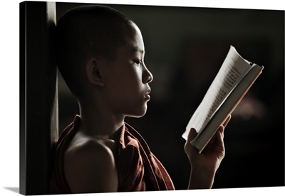Young monk reading in his monastery, Bagan, Burma