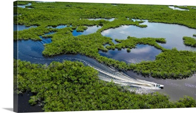 Motoring Through Mangrove Labrynth Of Everglades National Park
