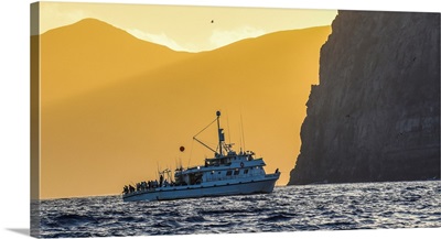 The Royal Polaris Fishes In Tight At Sunset Near Guadalupe Island, Mexico