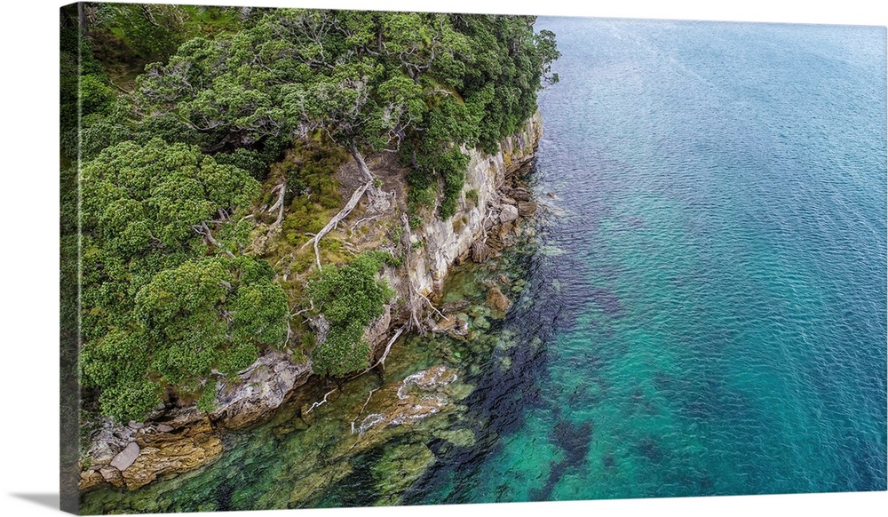 The Wild Coast Of Mercury Bay, New Zealand