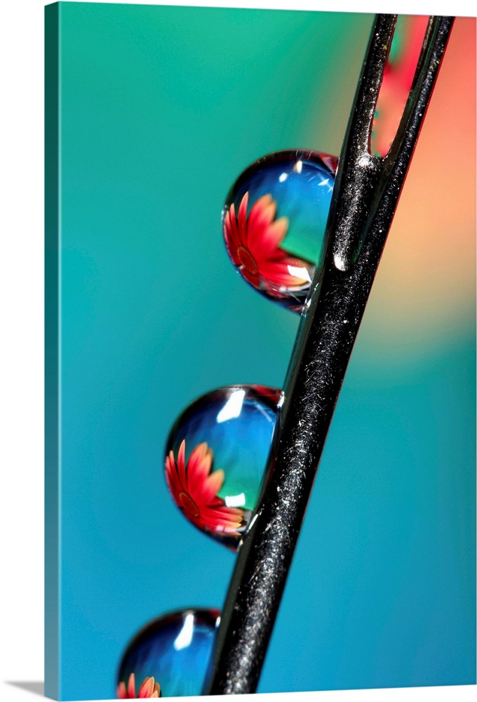 Water droplets on a dressmakers needle with a flower reflected in the drops.