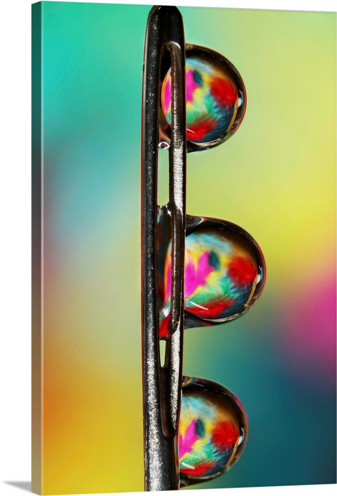 Water droplets on a needle with colourful feathers reflected in the drops.