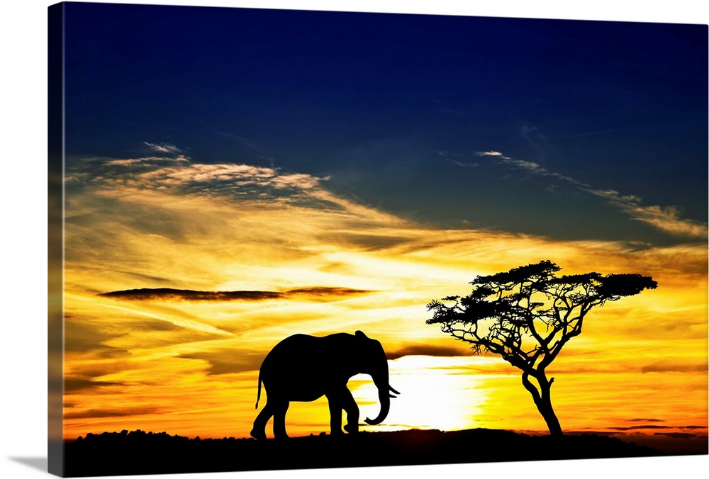 Setting sun casts a silhouette from a lone elephant and tree in Africa.