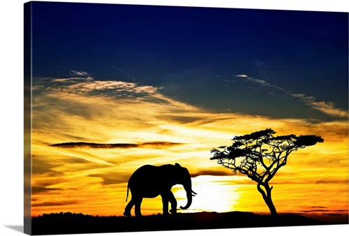 A lone elephant in Africa | Great Big Canvas