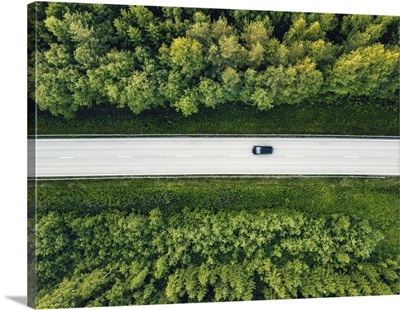 Aerial View Of Green Summer Forest With A Road Captured From Above With Drone