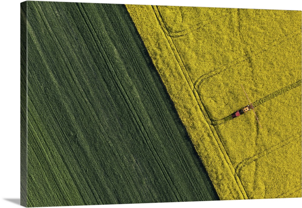 Aerial View Of Harvest Fields With Tractor In Poland