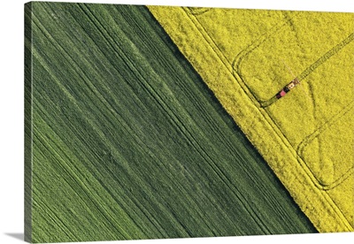 Aerial View Of Harvest Fields With Tractor In Poland