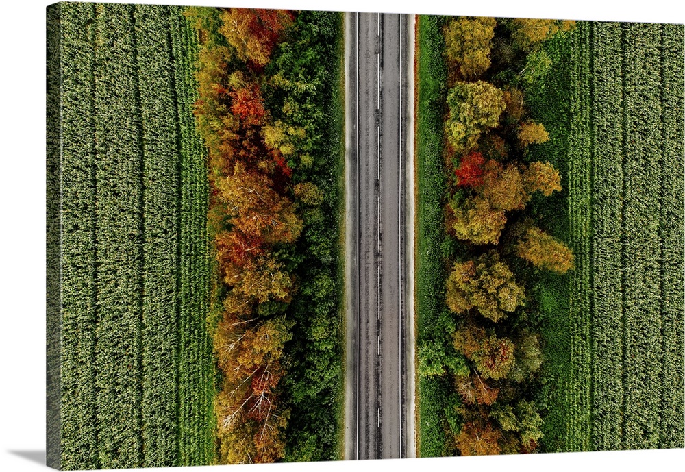 Aerial View Of Road In Autumn Forest With Red, Yellow And Orange Leaves