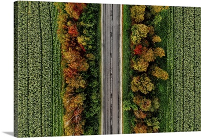Aerial View Of Road In Autumn Forest With Red, Yellow And Orange Leaves