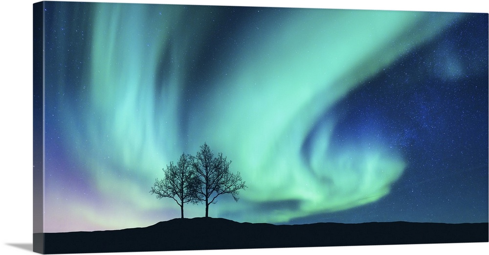 Aurora Borealis And Silhouette Of Trees On A Hill