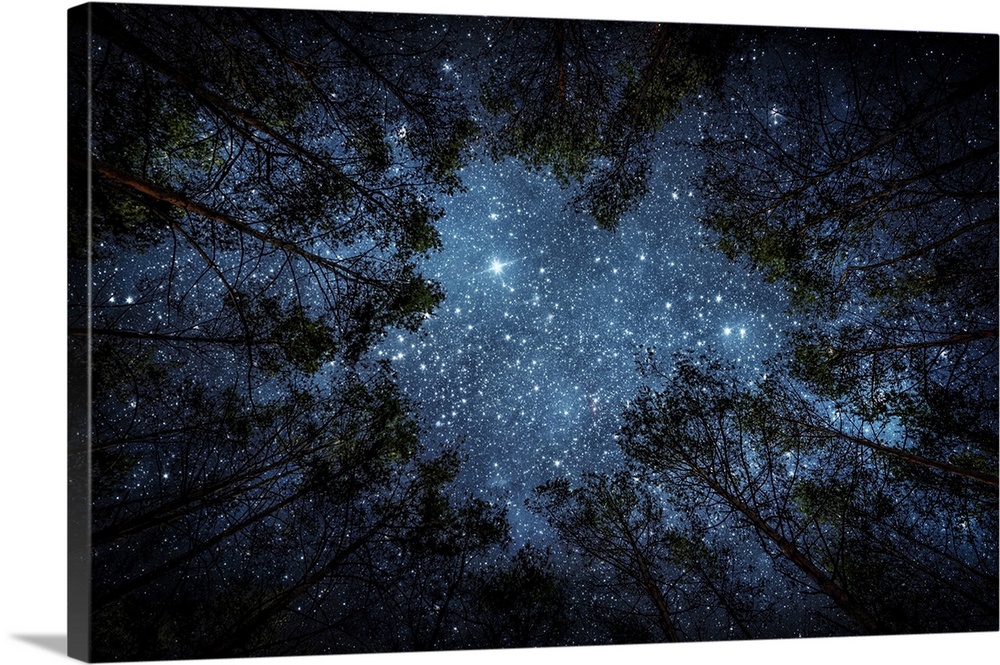 Beautiful night sky, the Milky Way and the trees. Elements of this image furnished by NASA.