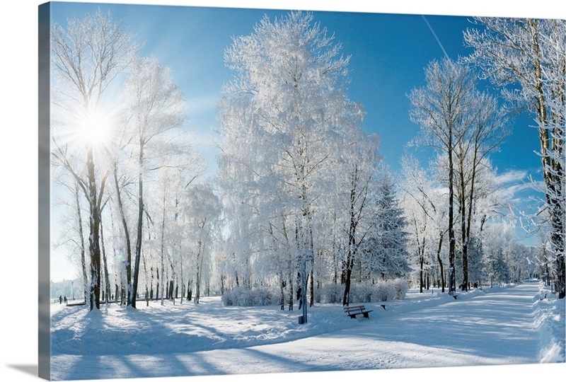 Beautiful winter landscape with snow covered trees Wall Art, Canvas