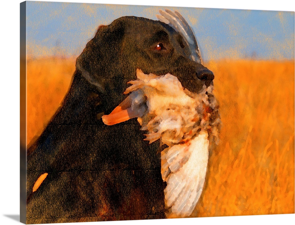 Oil Painting Portrait Of Black Labrador With Duck